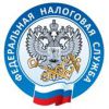 Во Владимирской области Декларационная кампания  продлена до 30 июля